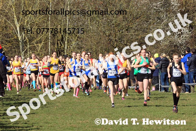 Girls Under-15s 2022 CAU Inter Counties Cross Country, Prestwold Hall, Loughborough.  Photo: David T. Hewitson/Sports for All Pics
